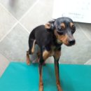 안덕원로 이미지