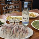 제주도 서귀포 고등어회 맛집 ㅣ 자연수산 :: 로컬 맛집, 신선한 고등어회 내돈내산 후기