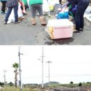 대정읍 동일1리 재활용 도움센터 이미지