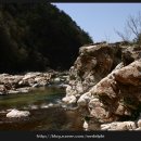 구미정야영장 화장실 이미지