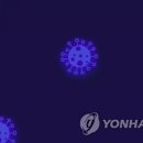 하단동1025 이미지