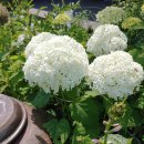 래미안 정문 이미지