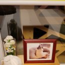 냥이멍이네 이미지