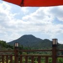 저팔계농장 이미지