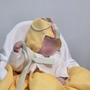 상 | 김천시육아종합지원센터 백일상 대여 후기