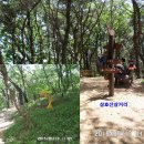 솔마루공원 Daum카페
