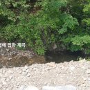 대명오토