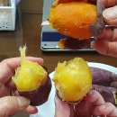 간석약국 | [일기] 10월 넷째주 일상이야기