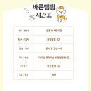 바른댕댕 애견유치원 이미지