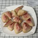 스타캐슬 성내점 | 8月(2) 숨 막히는 세상 속에 작은 것 하나에 잠깐 웃었다고