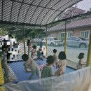 일월관광농원캠핑 이미지