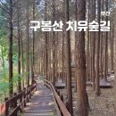 꿈나무수정 | 구봉산 치유숲길 가는 방법 소요시간 부산 초보 등산코스