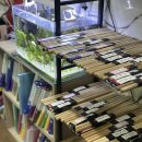 톡톡 신나는 드럼(A) | 두정동 드럼학원 이제 리듬 탈 준비 되셨나요? 어서 탑승하세요!