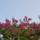 망마보조경기장 이미지