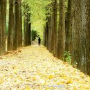 송정제방 이미지