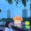 팔리아치 | 제가 그 팔리아치입니다