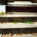 지리산구름정원 이미지