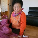 함평기초푸드뱅크 Daum카페