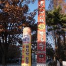 일산쭈꾸미 이미지