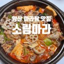 소림마라양산 네이버블로그