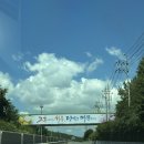 전라남도 보육교직원 한마음대회 | 보육교사 200명을 울린 공연, 순천 현지인이 추천 맛집 리스트까지~