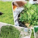 초록농부 영농조합법인 이미지