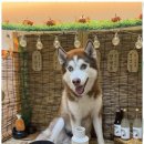 진해유치원 이미지