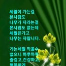 한주의 시작을 이런 다짐으로 시작 해보자. 이미지