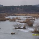 창녕 도천면 진짜순대집-우강리-창녕 우포늪 이미지