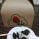 쿠모모찌 이미지