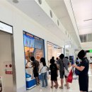 아이스크림 | [Blue Seal Ice Cream] 오키나와 나하공항 블루실 아이스크림 후기