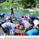 청송군, 제13회 청송 백석탄 다슬기 축제 개최 이미지