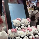 따자하오 이미지