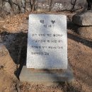 월산대군 이정태실 이미지