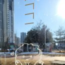 멜리애견유치원 이미지