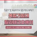 오에이비지니스솔루션 이미지