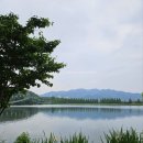 산들테마공원 | 서울대공원 장미축제 기간 개화상황 주차정보