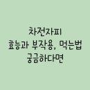 왕박식품