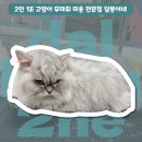 달봉이네 대연점 이미지