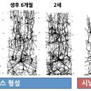 아이촘촘 이미지