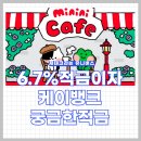 케이프렌즈