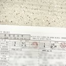 복덩이네 강아지 | 나름 평온했던