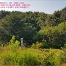세도면화수리보건진료소 네이버블로그