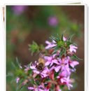 동문별장 이미지