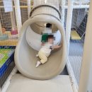 UR(파주시)-[청석로]-상-12 | 파주 운정 키즈카페 우리끼리 놀 수 있는 노리놀이 대관 키즈카페