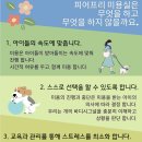 라라그루밍 이미지