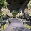 이비스앰배서더수원 이미지