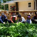 곡성-189 이미지