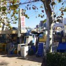 금성수족관 이미지