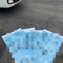 백야항관광안내소 이미지